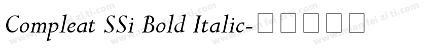 Compleat SSi Bold Italic字体转换